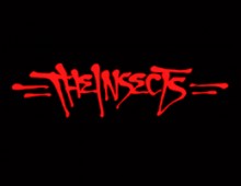 THE INSECTS LIVE ENTIRE SET OURVERSE TV